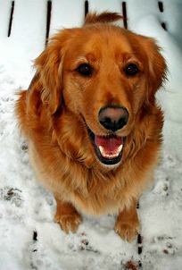 Do You Know the Real Source of Your Emotions?