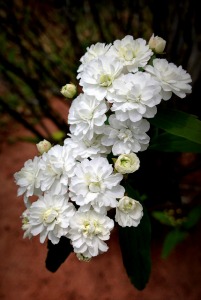 Can a Lack of Forgiveness Make You Sick?