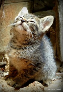 3 Steps to Ending Self Sabotage