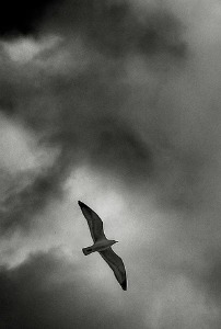 How a Medical Diagnosis Can Sabotage Your Health