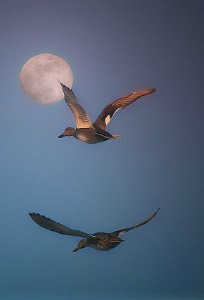 10 Signs That You Are Not Living in the Present Moment