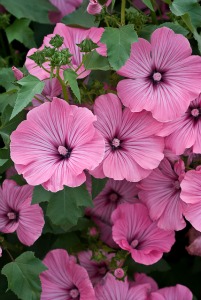 What Can You Do to Regain Your Health and Happiness?