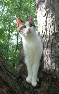 Are Your Beliefs Limiting Your Personal Power?