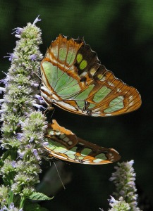 Are You Looking for Love in All the Wrong Places?