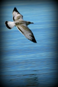 How to Raise Your Vibration