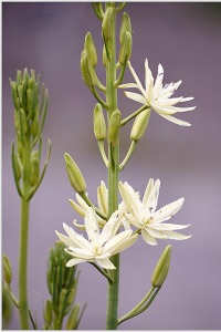 3 Lifestyle Hacks to Lower Your Inflammation and Improve Your Health