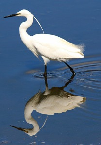 Is Your Self-Talk Stressing You Out?