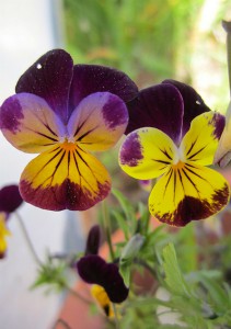 How to Find Resilience in a Stressed-Out World