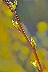 Are Your Emotions Affecting Your Clarity?