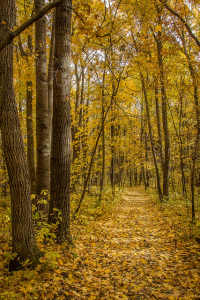 Do You Keep Repeating the Same Mistakes?